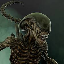 Image result for xenomorph