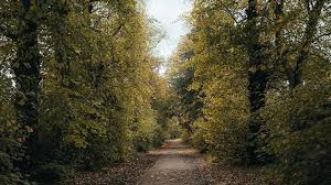 Image result for Bedford Harriers A C