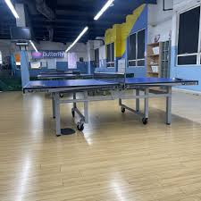 Image result for Temple Bar Table Tennis Club