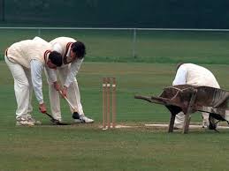 Image result for Horsforth Cc