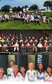 Image result for Taekwondo Athletes Program USA