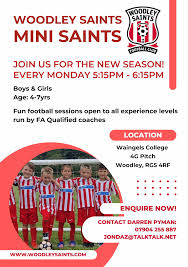 Image result for Woodley Saints Ladies FC