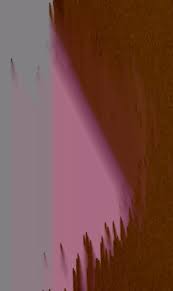 Attēlu rezultāti vaicājumam “Thecabius affinis imago”