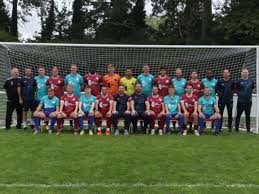 Image result for Welwyn Garden City Panshanger Football Club