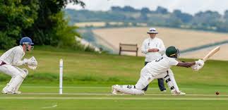 Image result for Antelope & Castle Cricket Club