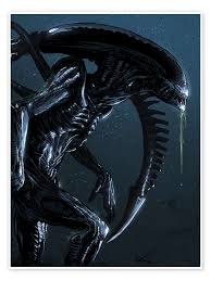 Image result for xenomorph