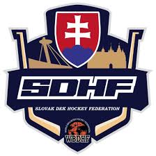 Image result for Ballymena Vandals