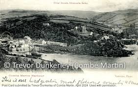 Image result for The Combe Martin Institute Club