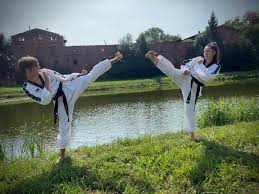 Image result for Midsomer Norton TAGB Tae Kwon-Do