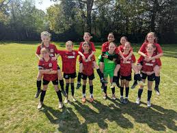 Image result for Crawley Down Netball Club