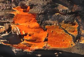 Attēlu rezultāti vaicājumam “Ceriporia”