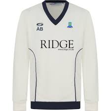 Image result for Theale and Tilehurst Cricket Club