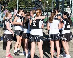 Image result for Ledbury Magpies Netball Club