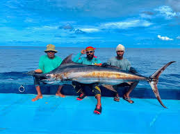 Image result for Makaira mazara