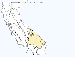 Attēlu rezultāti vaicājumam “Corispermum hyssopifolium fruit”