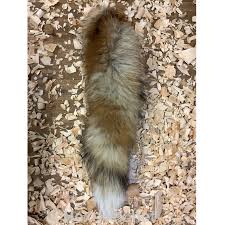 Image result for Fuchsschwanz