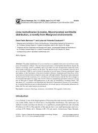 Attēlu rezultāti vaicājumam “Licea testudinacea”