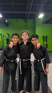 Image result for Cumming Martial Arts Center