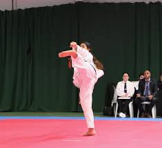 Image result for Bytomic Tae Kwon Do Guildford