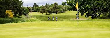 Image result for Bellingham Golf Club