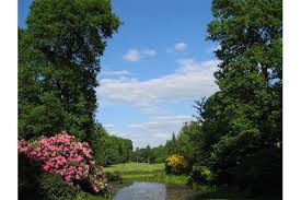 Image result for Puttenham Golf Club