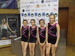 Image result for Harlequins Gymnastics Club