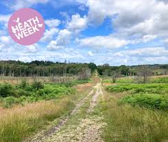 Image result for The Chobham Common Riders Association