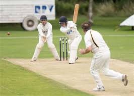 Image result for Mildenhall Cricket Club