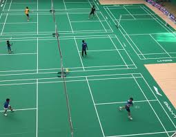 Image result for The Badminton Academy (Mk) Badminton Club