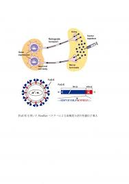 Image result for 生理現象ラキ