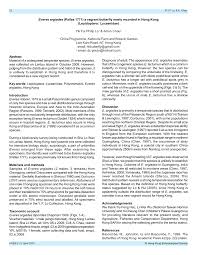 Attēlu rezultāti vaicājumam “Everes argiades female”