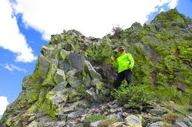 Attēlu rezultāti vaicājumam “Libanotis montana”