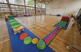 Image result for Harrow School Of Gymnastics