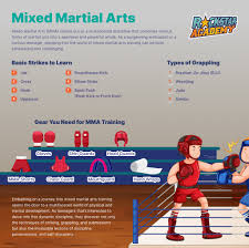 Image result for Precision MMA Mixed Martial Arts Training