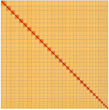 Attēlu rezultāti vaicājumam “Oligia sp.”