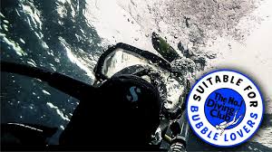 Image result for Bsac London No1 Branch