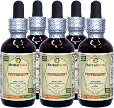 Image result for Menta x piperita