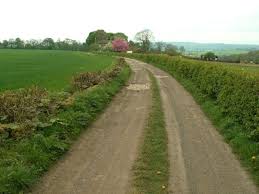 Image result for Silkstone Utd Cc