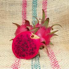 Attēlu rezultāti vaicājumam “Carex hirta fruit”