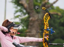 Image result for Stalybridge Archery Club