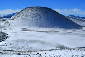 Attēlu rezultāti vaicājumam “Craterium sp.”