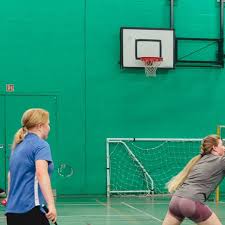 Image result for Dragons Badminton Club
