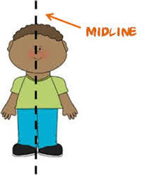 Image result for body midline