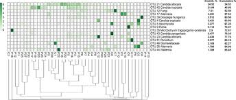 Attēlu rezultāti vaicājumam “Microbotryum tragopogonis - pratensis”