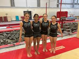 Image result for City Of Liverpool Gymnastics Club