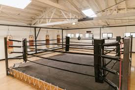 Image result for Muay Thai Clubs