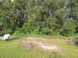 Image result for Forest (Sale) Badminton Club