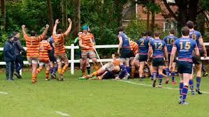 Image result for Cobham Rugby Club