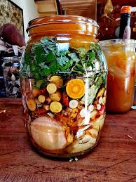 Attēlu rezultāti vaicājumam “Rumex obtusifolius fruit”