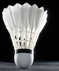 Image result for Gloucester Badminton Club